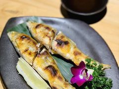 -深蓝金枪·深海鱼刺身(吉大店)