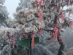 -南岳衡山风景名胜区-南岳大庙