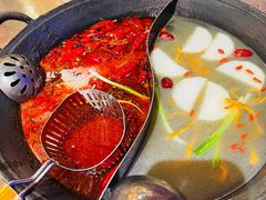 -朱光玉火锅馆(龙阳广场店)