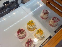 -山与蓝·轻糖鲜果蛋糕(勒泰店)