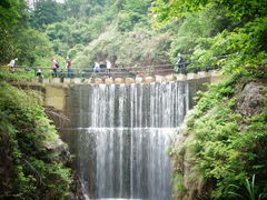 -大奇山国家森林公园