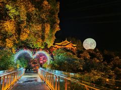 -巴倒烫陆派火锅山庄(南山总店)