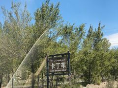 -新疆天山野生动物园