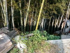 -灵山景区梯田