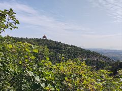 -府君山公园