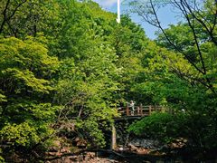 -本溪汤沟绿石谷森林公园