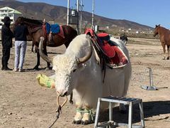-青海湖国家重点风景名胜区