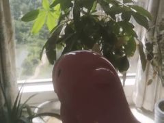 -上置·绿洲雅宾利花园