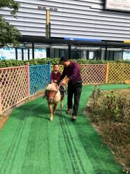 -萌宠亲子动物乐园(槐房万达店)