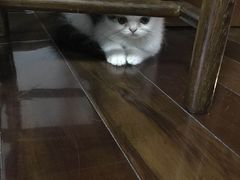 -唐会KTV(群力店)