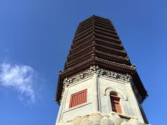 -西海子公园