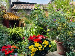 -园林美食城·本土农家菜(杨和镇店)