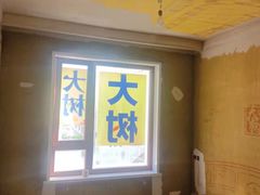 -大树装饰·十年本土家装