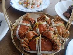 -欢乐蟹庄·精品农家乐(阳澄湖莲花岛店)