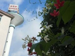 -陈李济中药博物馆