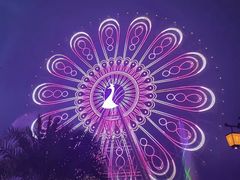 -七彩云南欢乐世界