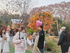 -HERRE·FARM 赫尔露营农场·团建聚会包场