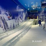 春天也带娃能去玩雪❓