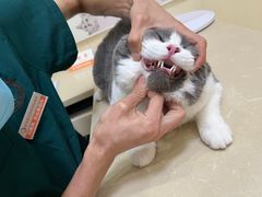 -瑞派康怡24h宠物医院·犬猫医疗中心·微创绝育(瑞景分院)