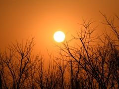 -天津东丽湖风景区