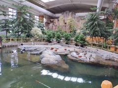 景点-南宫五洲植物乐园