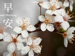 -Oasis Beauty水磨坊科技美肤中心