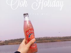 -西青郊野公园