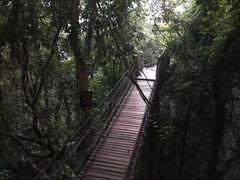 -天门沟九州驿站树上汤泉