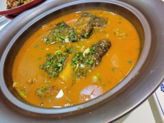 红煨甲鱼-潇湘码头·鲜湘菜(清河店)