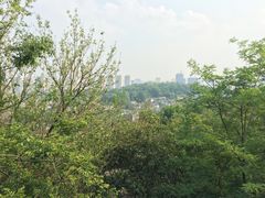 -老香齋(五角场店)