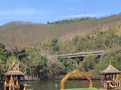 -西双版纳原始森林公园