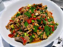 泡辣椒炒牛肉-壹盏灯(蚂蚁工房店)