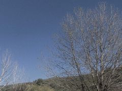 -新疆那拉提国家旅游度假区