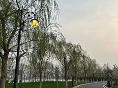 -天津东丽湖风景区