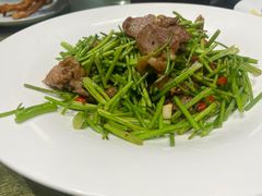 -清雅臻品·竹林院落·新派青岛菜(崂山店)