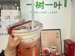 -一树一叶·福建茶档(石鼓路店)