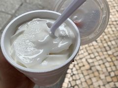 -洪馨椰子