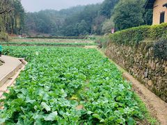 -韶山毛泽东同志故居