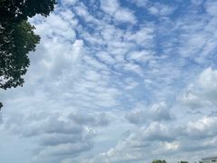 -东方绿舟景区