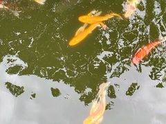 -合肥野生动物园