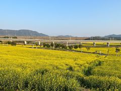 -光明小镇欢乐田园