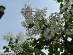 -莲池书院博物馆