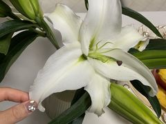 -德全心悦酒店(北京金台路地铁站店)