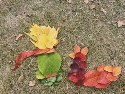 -Oasis Beauty水磨坊科技美肤中心