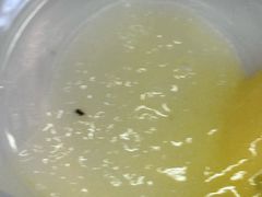 -江记甜品(罗湖店)