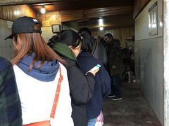 -张醪糟