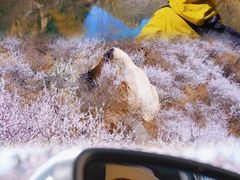 -碓臼峪自然风景区