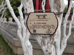 -济南大明湖景区