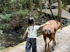 -昆明青龙峡风景区