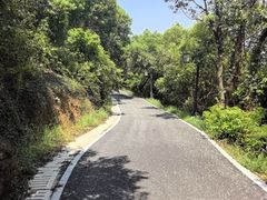 -平湖九龙山旅游度假区